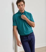 Load image into Gallery viewer, Snowpea Island Ray Print Mesh Polo