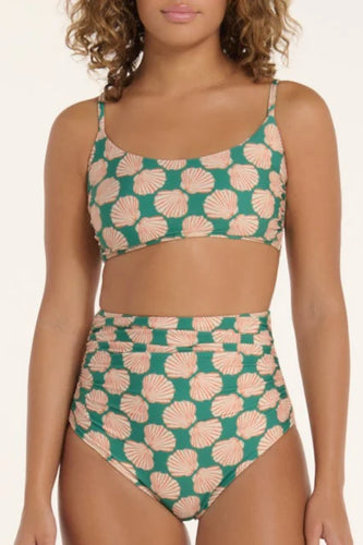 Shell Andrea Scoop Neck Bikini Top in Green