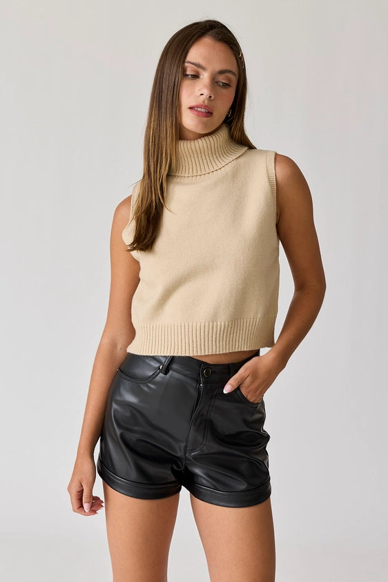 Alice Turtle Neck Knit Top - Oatmeal