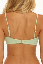 Load image into Gallery viewer, Basil Isola Bella Bandeau