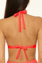 Load image into Gallery viewer, Dragon Fire Connect Banded Halter